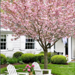 Do you Love Pink Dresses, Interiors & Gardens
