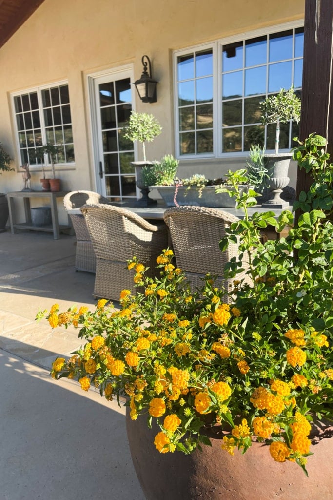 Outdoor Patio Table and chairs cindy hattersley design
