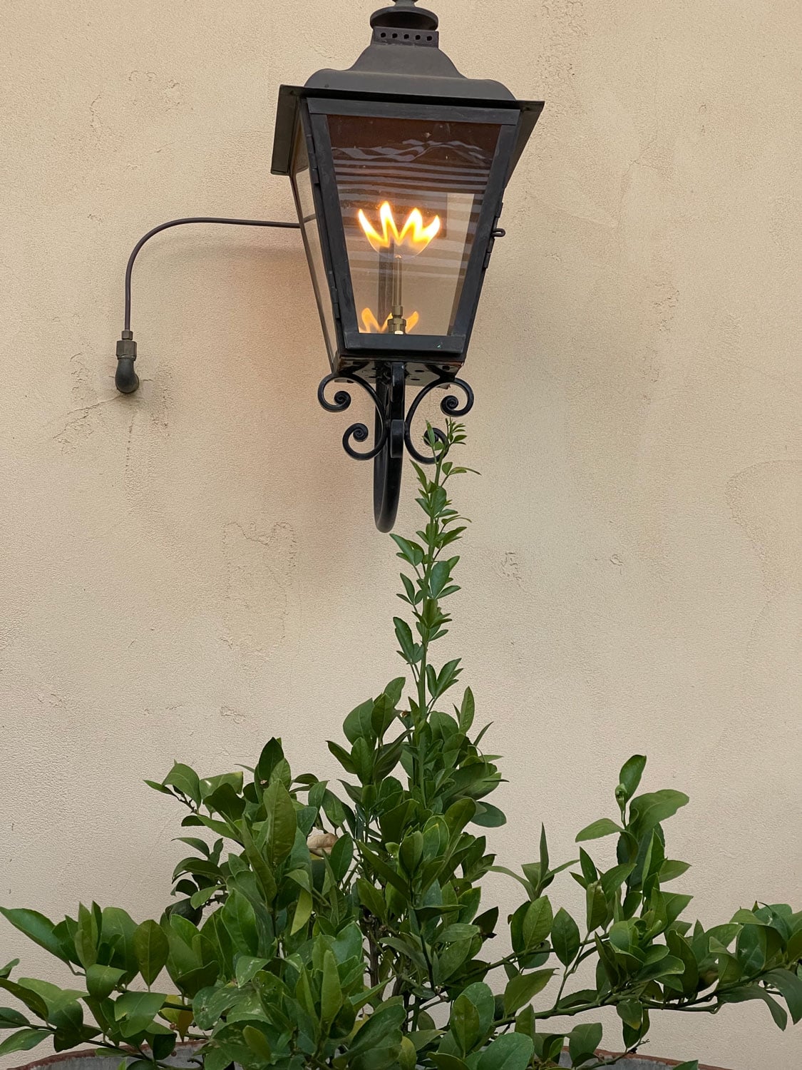 gas light cindy hattersley's courtyard