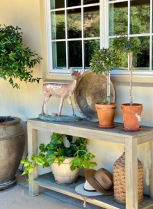 Potting bench with plants and vintage items by cindy hattersley