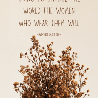 Clothes are not going to Change the World-The Women Who Wear Them Will-Anne Klein