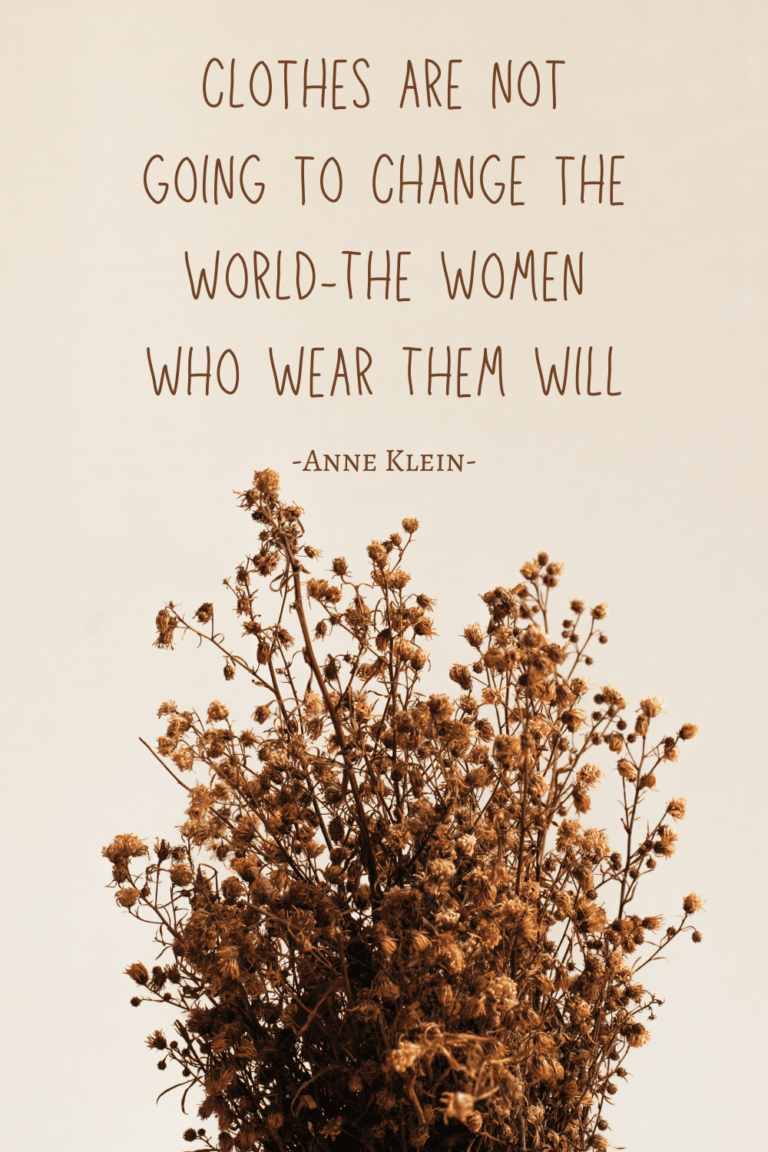 Clothes are not going to Change the World-The Women Who Wear Them Will-Anne Klein