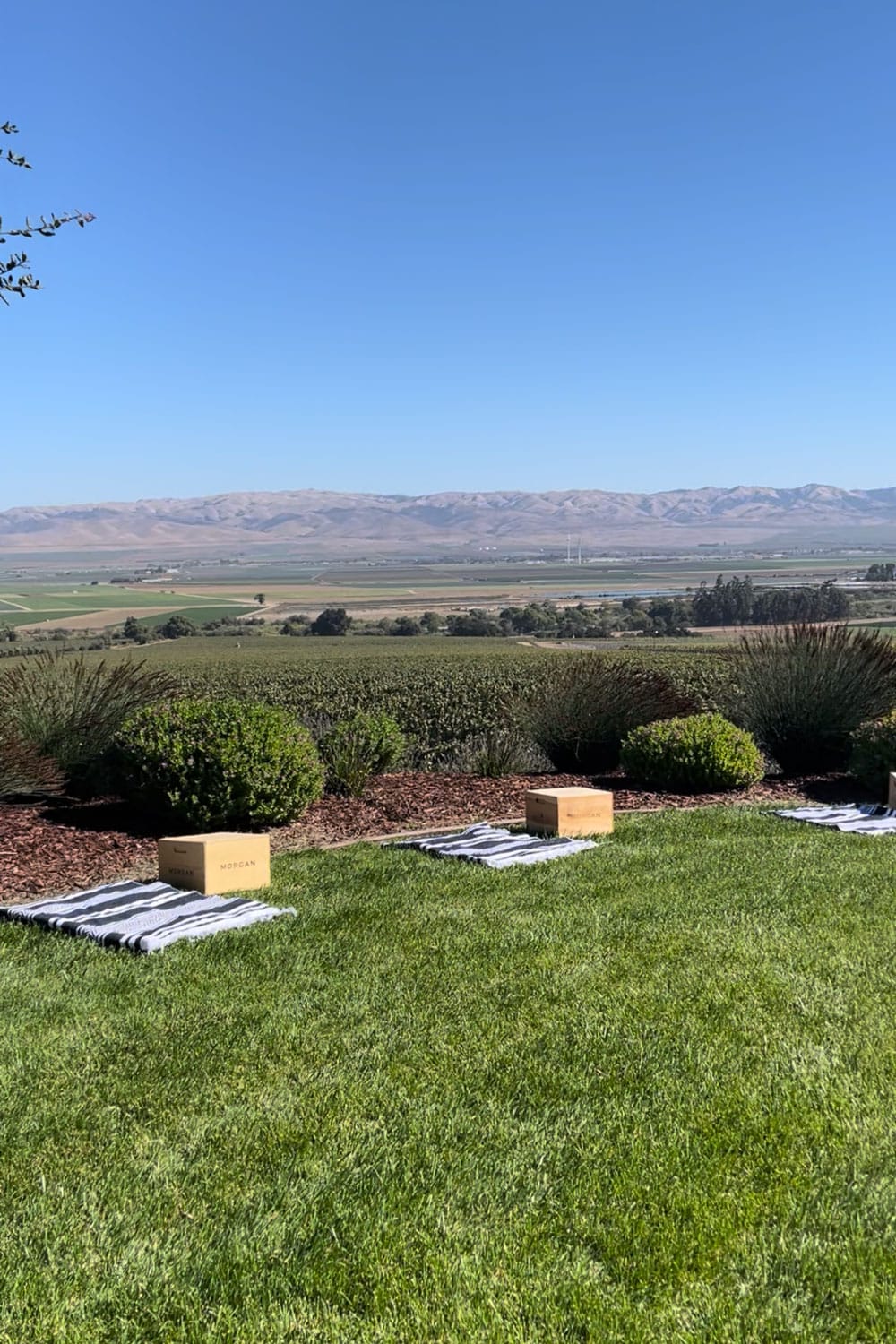 morgan-winery-party