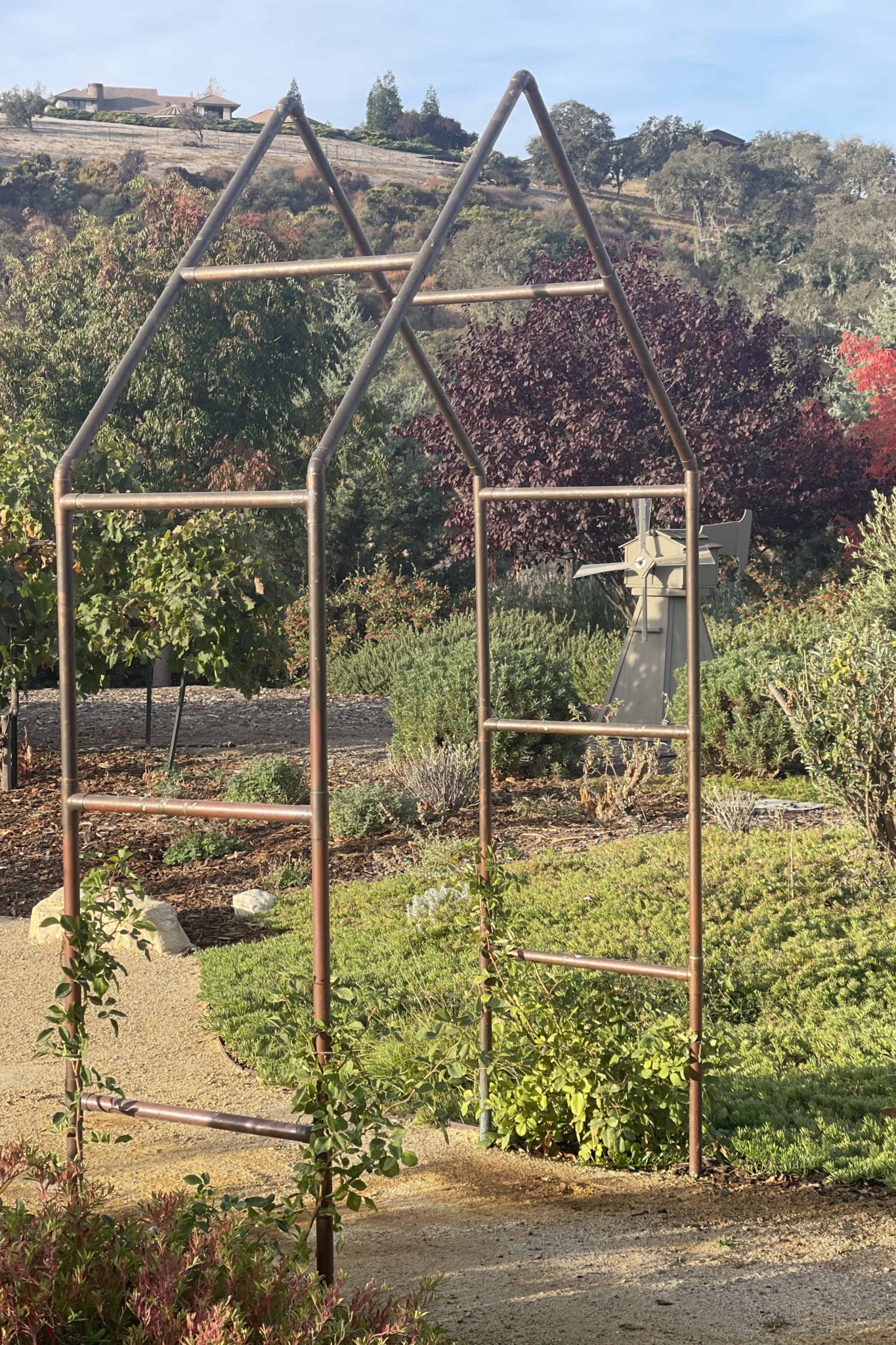 copper trellis fall foliage