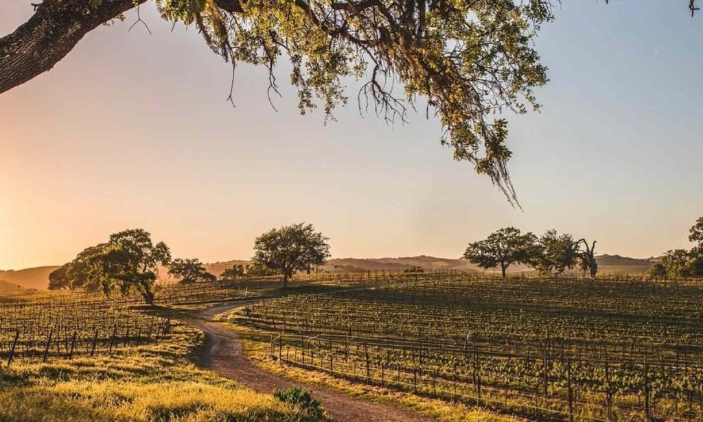 maha estate villa creek vineyards