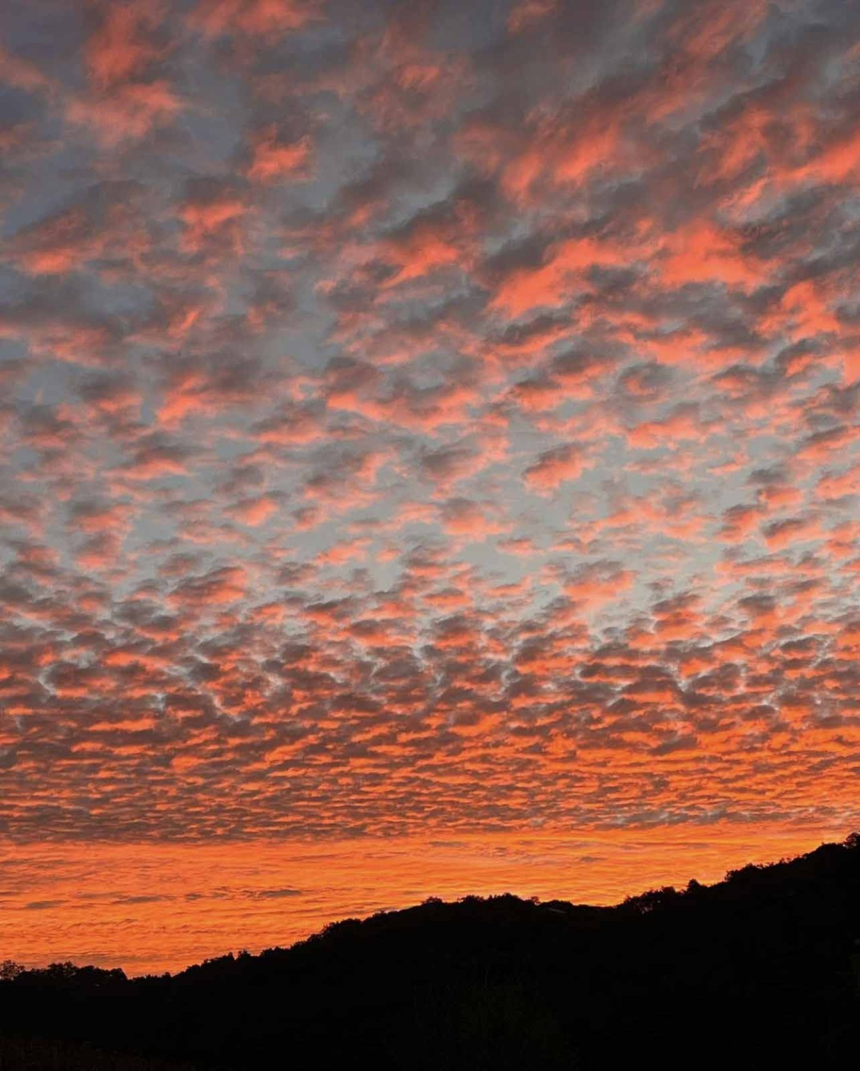 maha estate/villa creek cellars at sunset