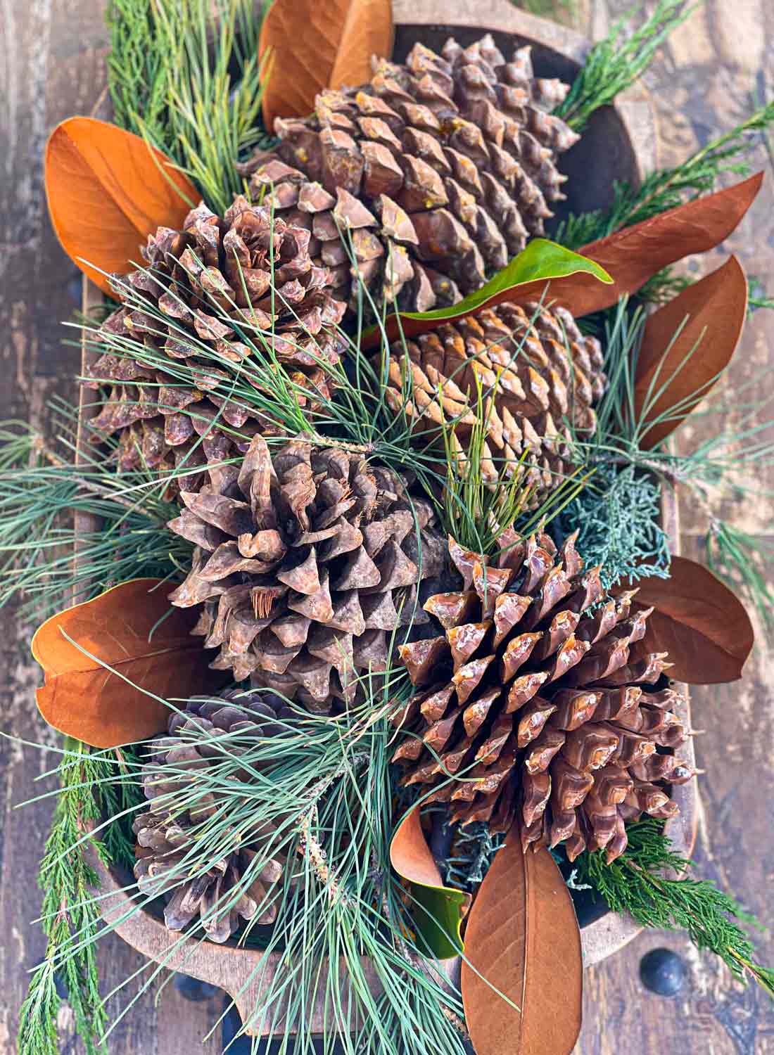 vintage-bowl-of-pinecones