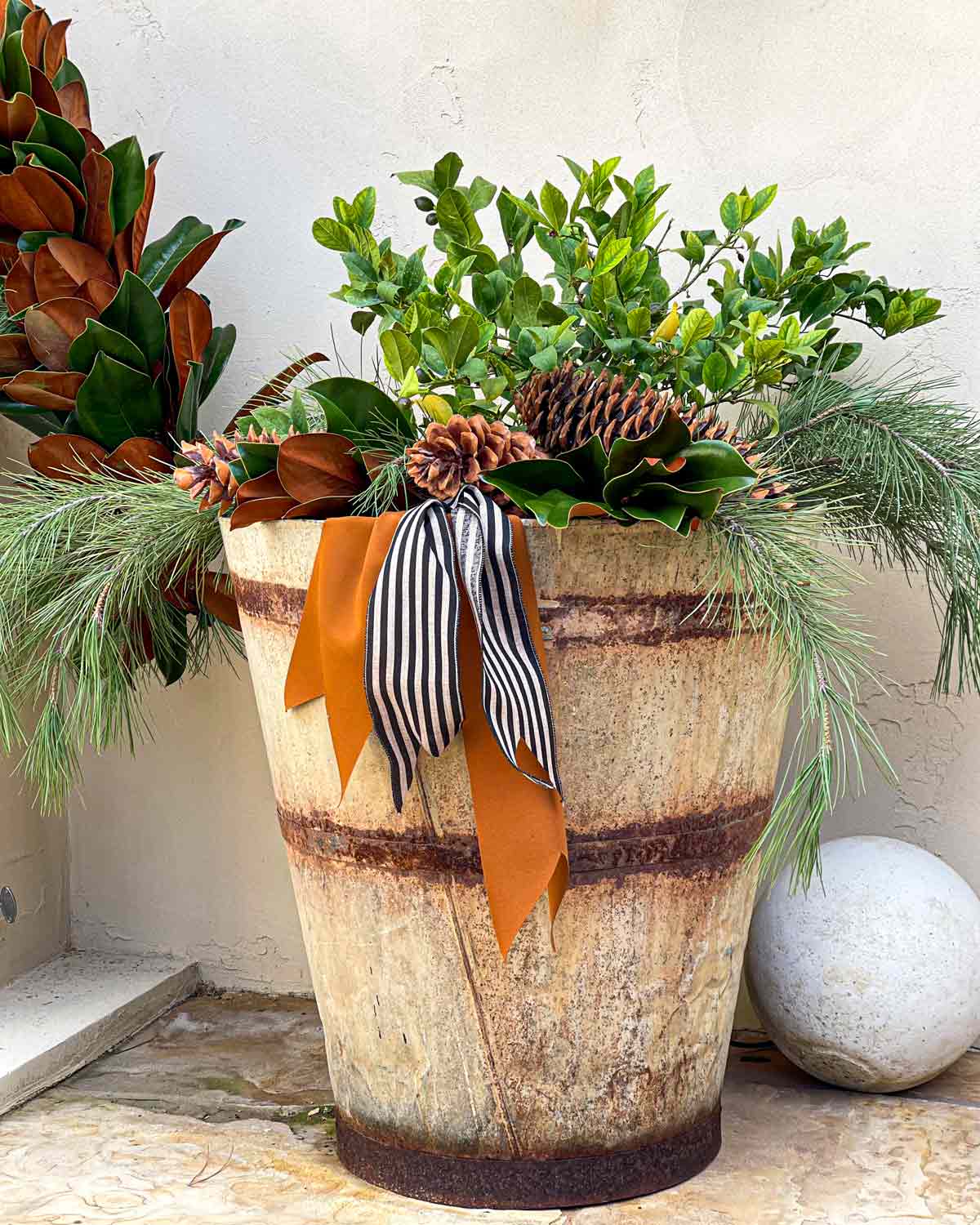 vintage galvanized planters with lemon trees and holiday greens
