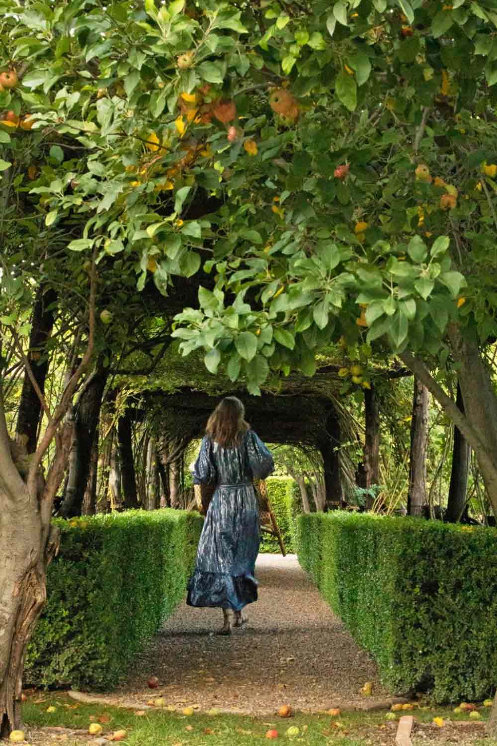 casa gusto allee of trees