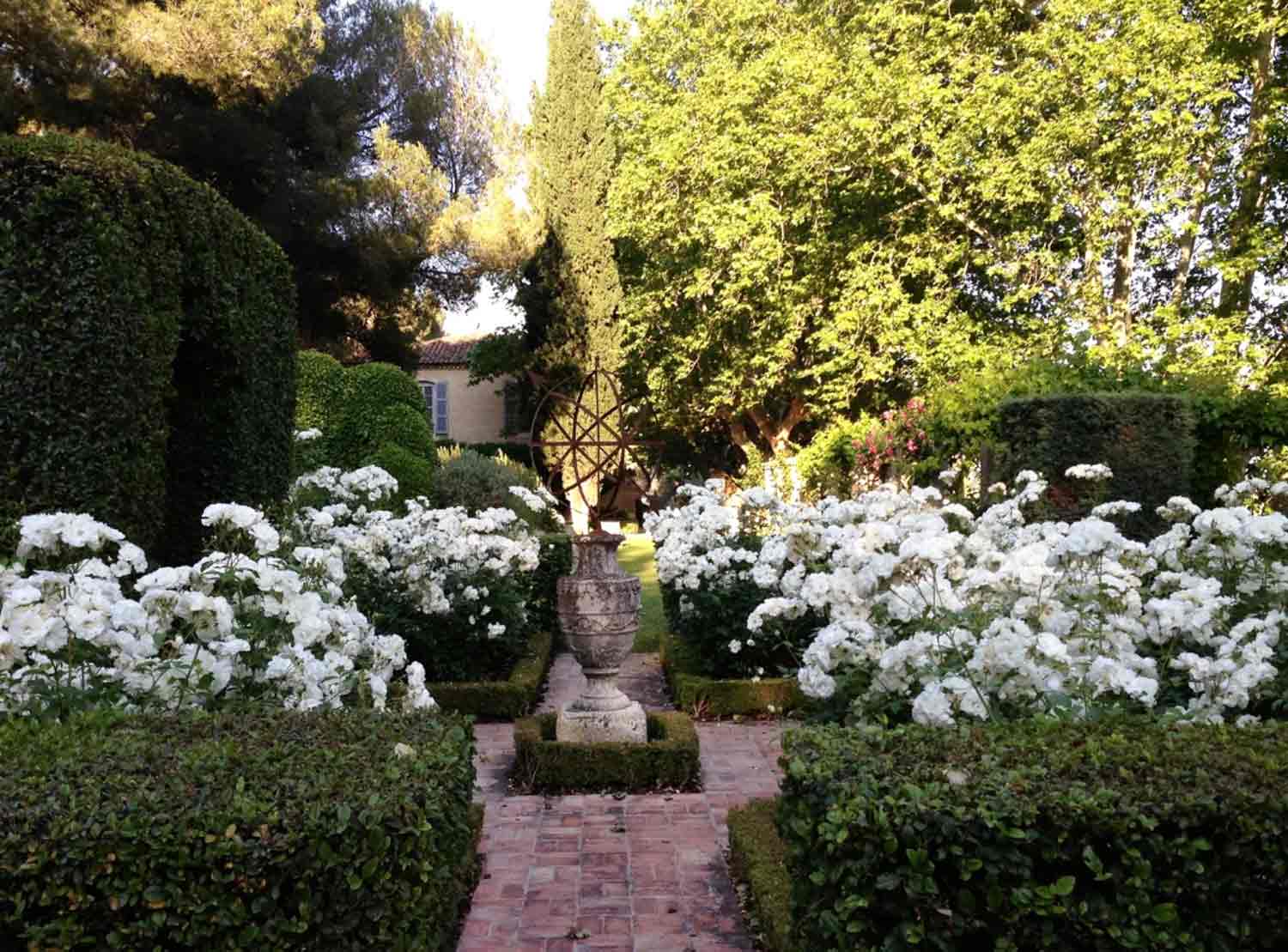mas de baraquat rose garden