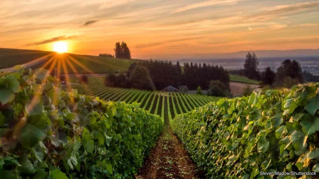 Wilamette Valley photo by Steven Madow