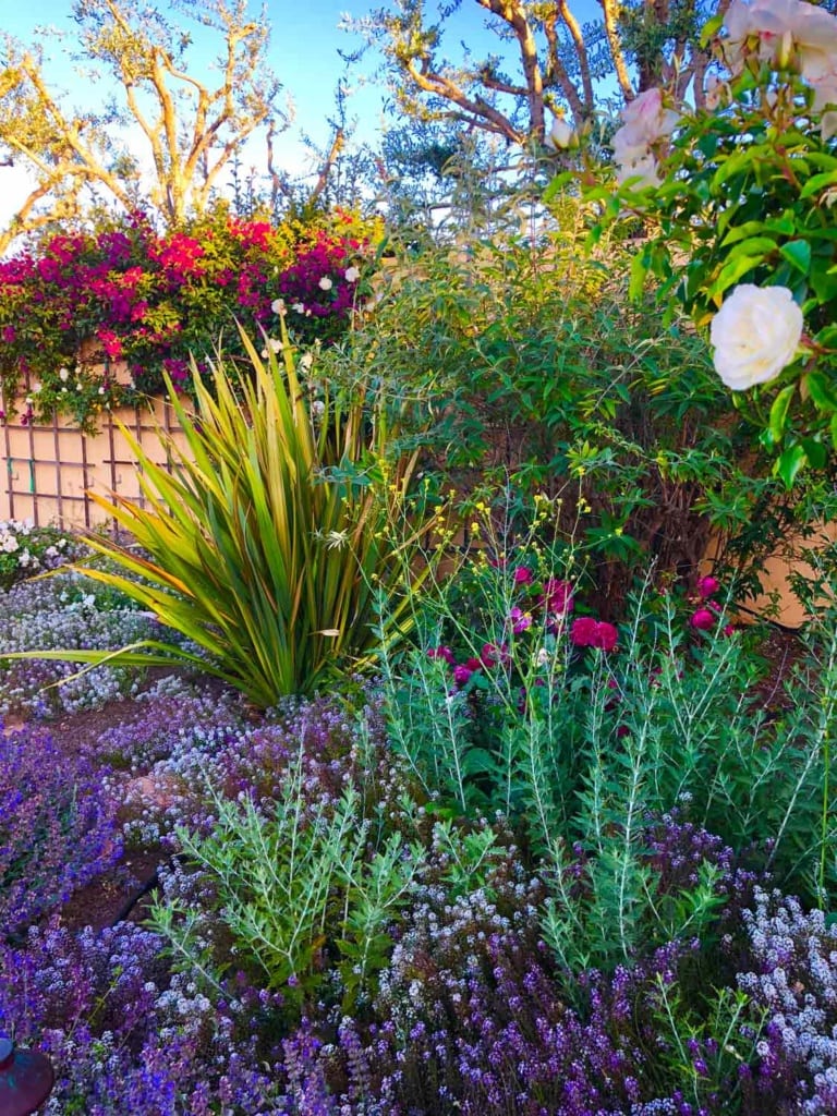flower-garden-with-roses-and-perennials