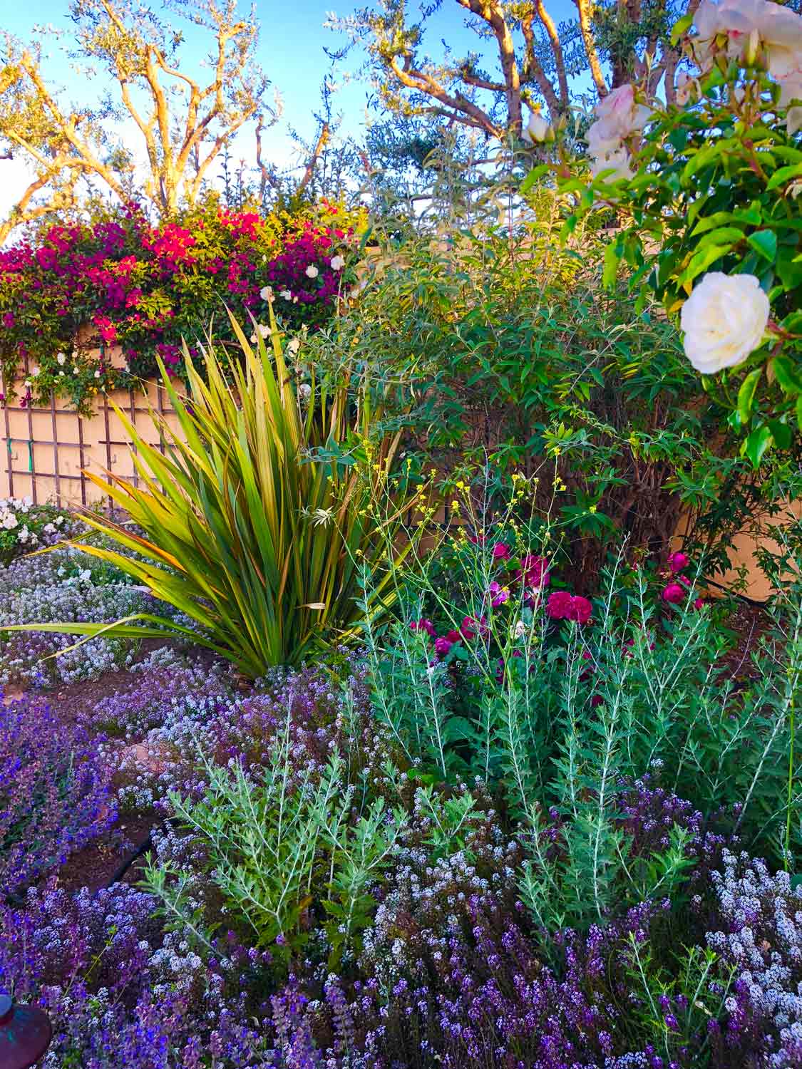flower-garden-with-roses-and-perennials