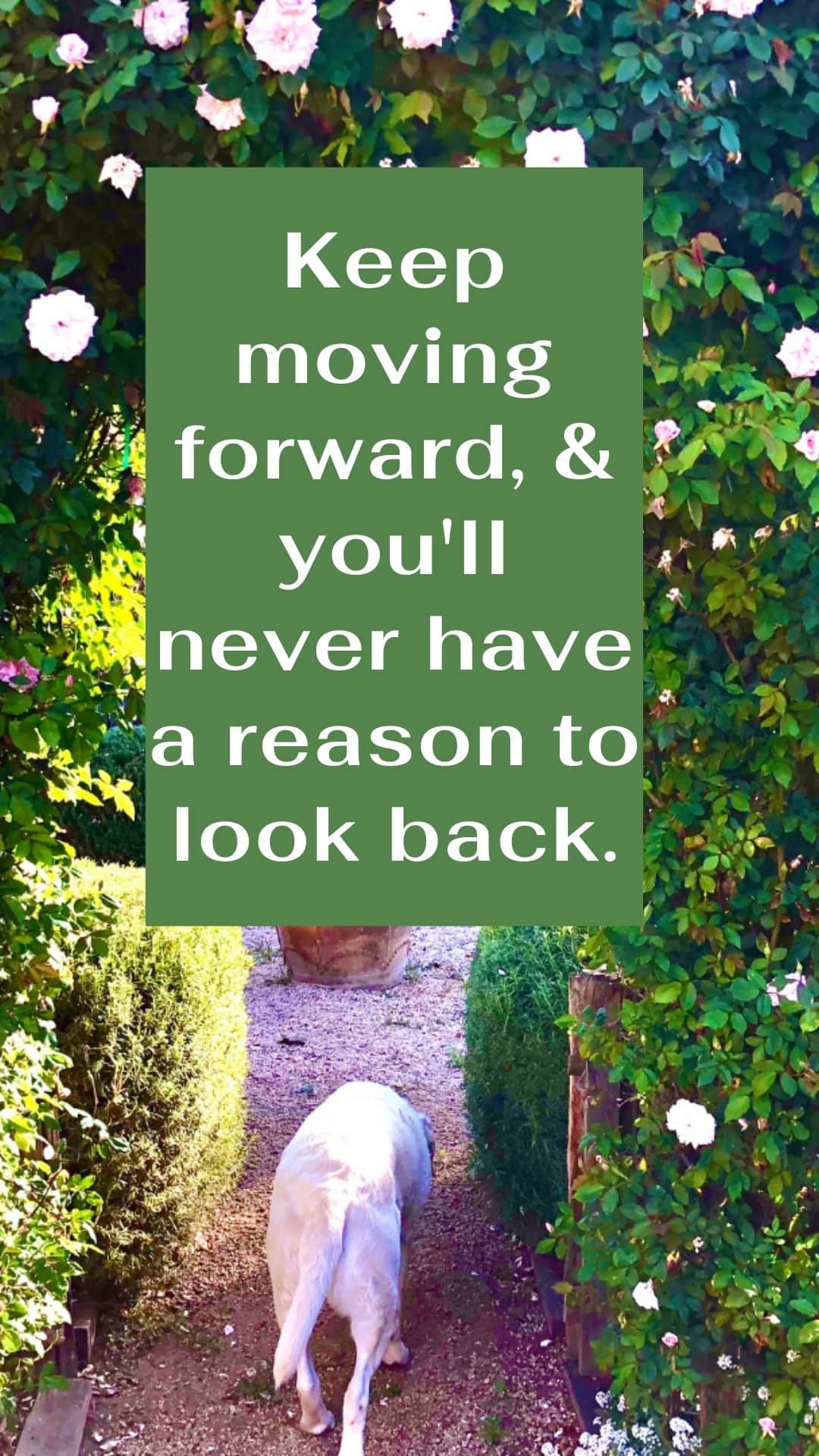 keep moving forward and you will never have a reason to look back