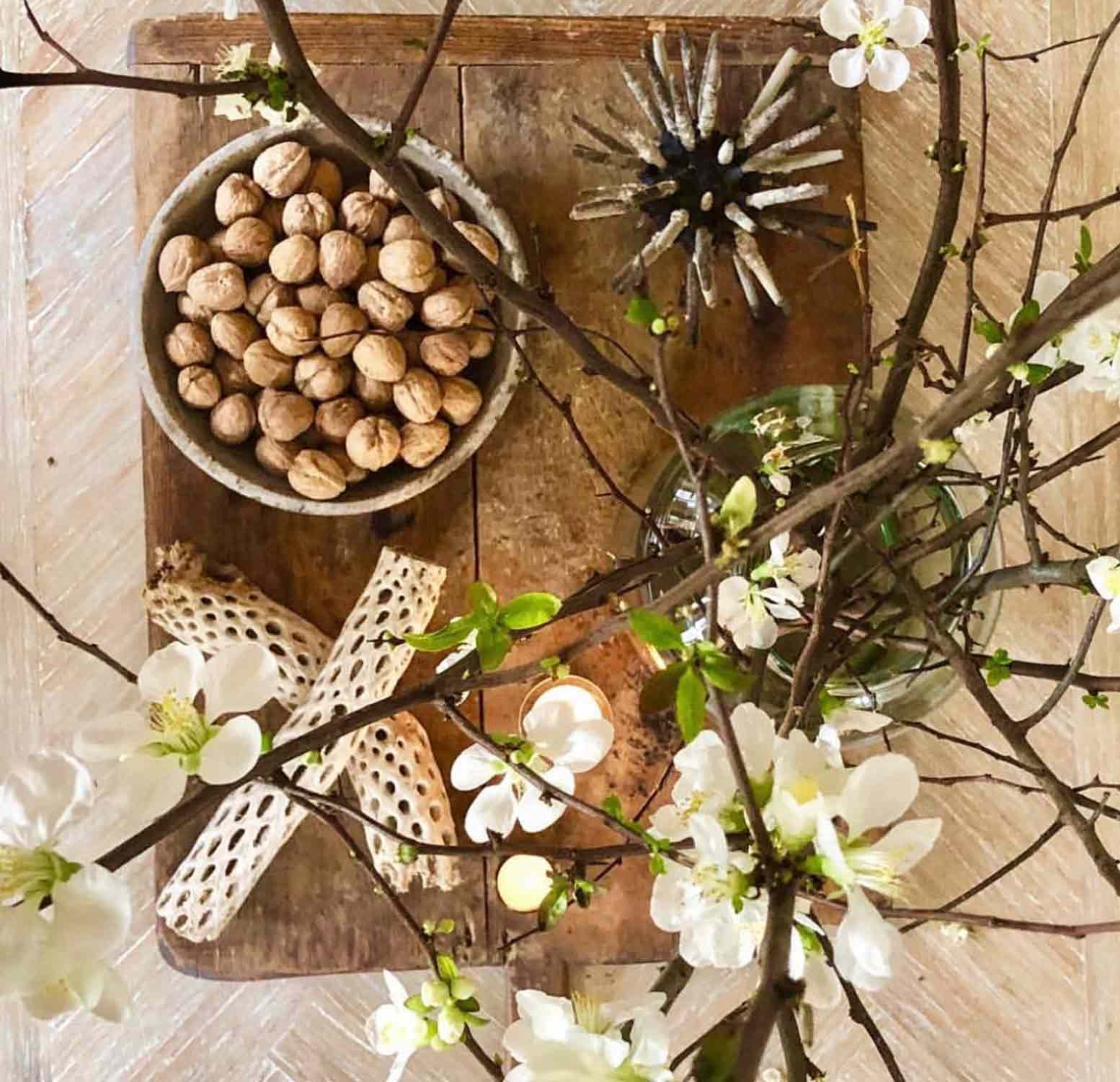 Spring coffee table styled with branches and other items from nature