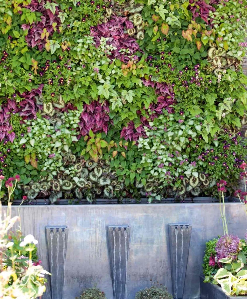 homes and gardens garden screen with variegated plants