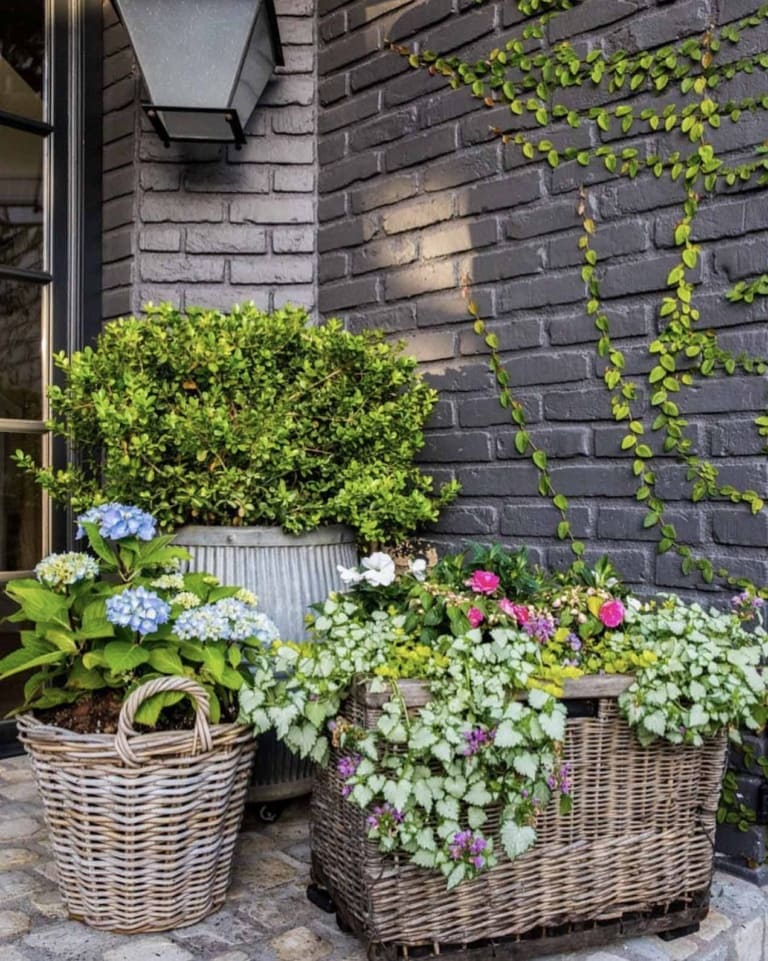 Kelly Motschenbacher container garden