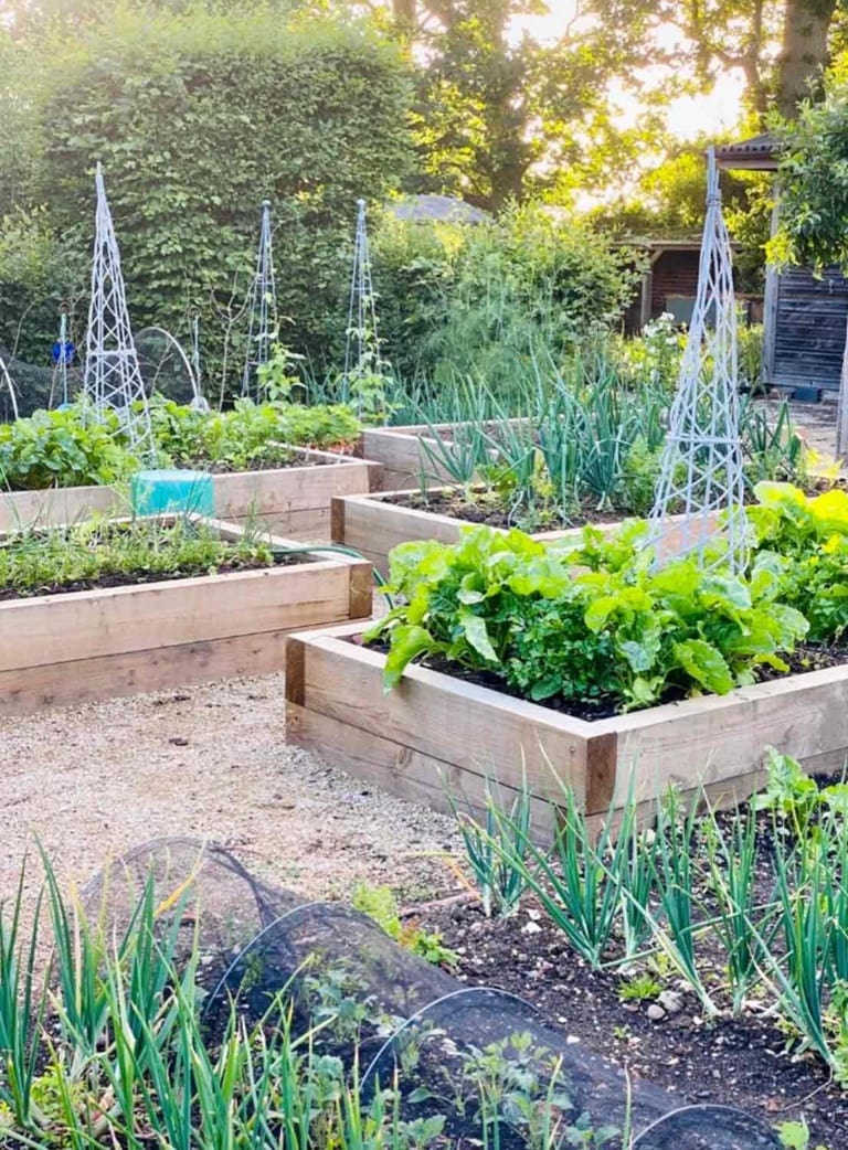 kitchen garden house and garden uk