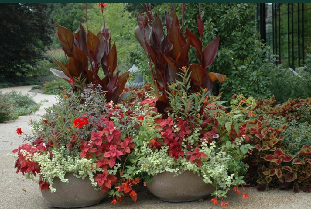 morton arboretum container garden in reds and pinks
