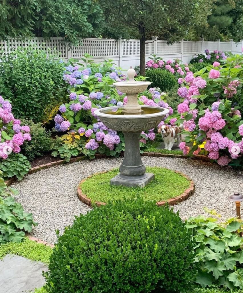 Garden with hydrangeas