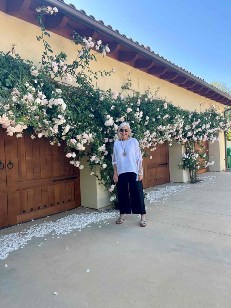 Awakening Rose on Garage Cindy Hattersley