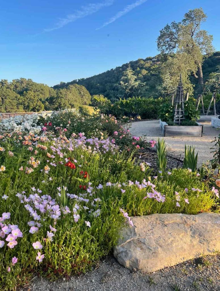 Rose Garden Templeton California