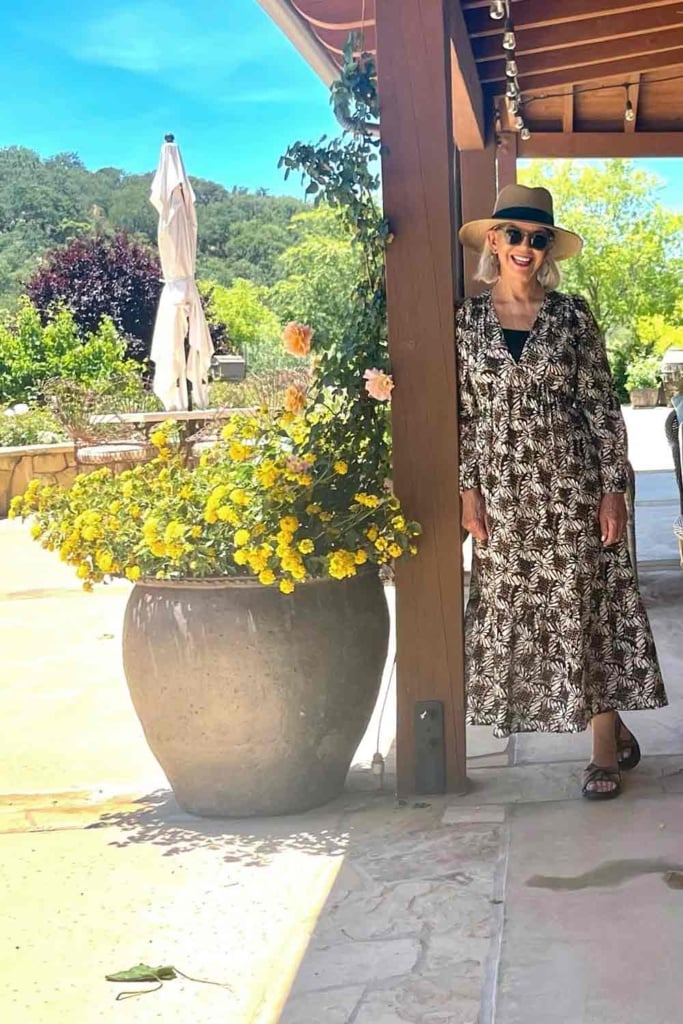 Xirena Midi Dress in black and brown