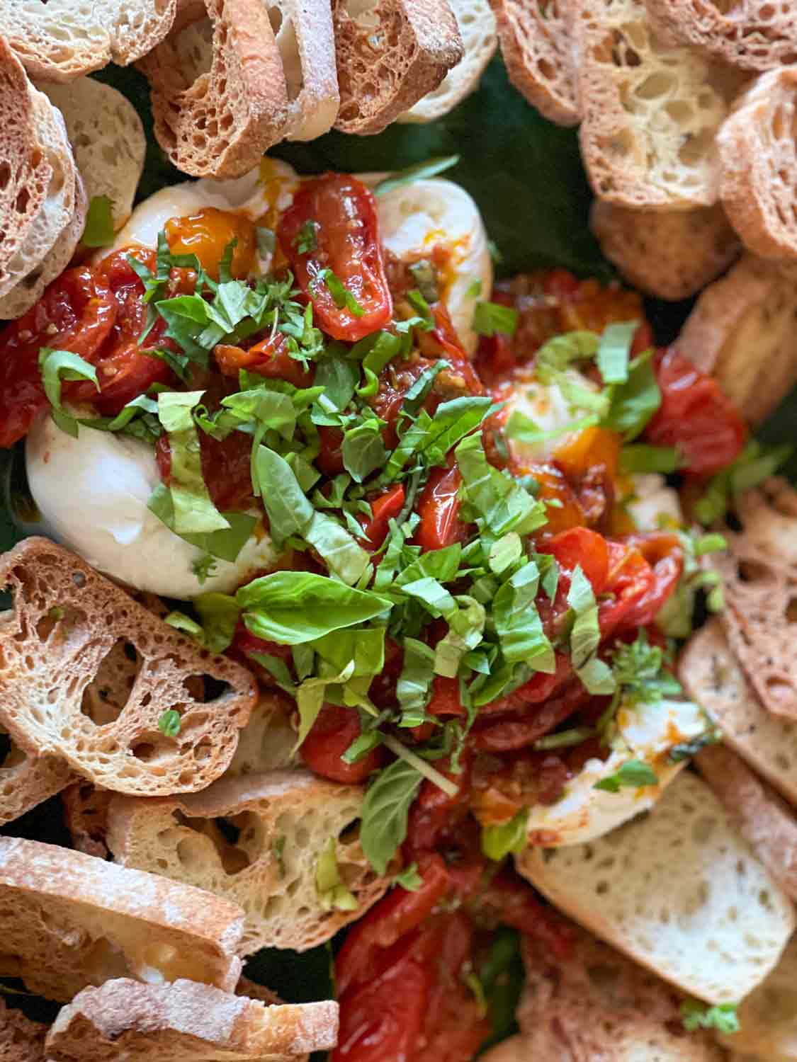 Creamy burrata with tomato confit