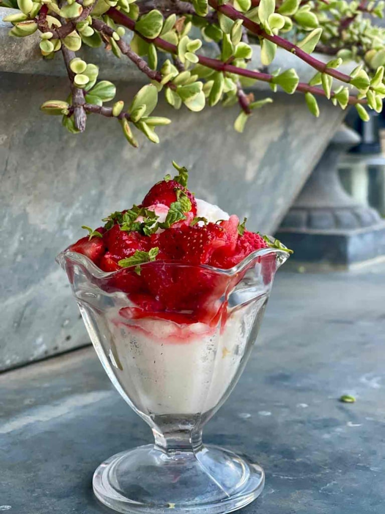 steve's home made ice cream with fresh strawberries