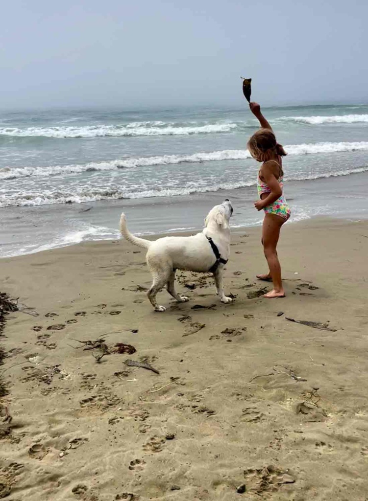 summer and scout at the beach