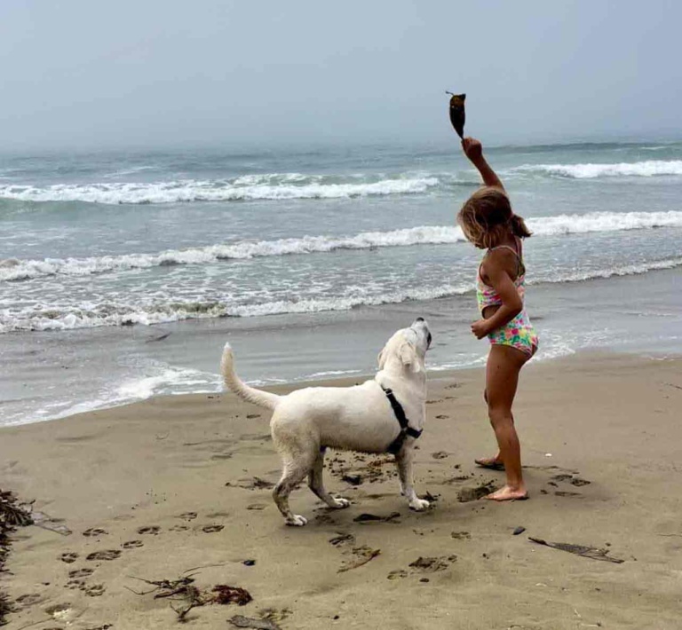 girl and labrador at the beach