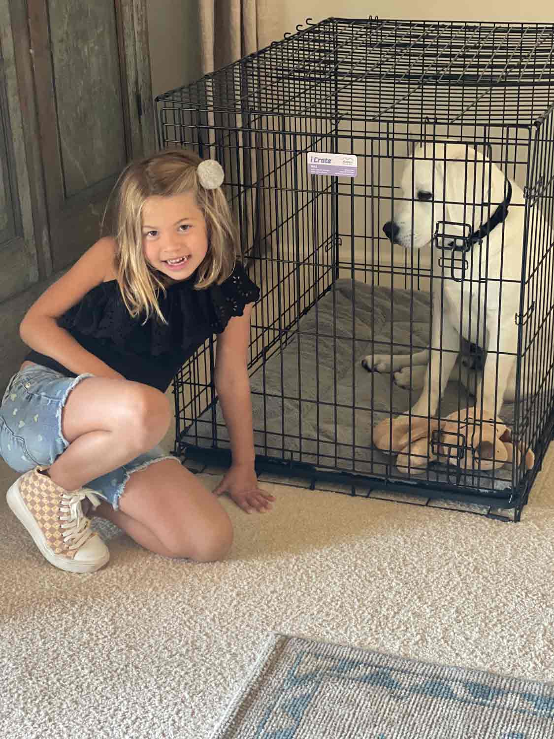 summer with scout in jail summer 2024