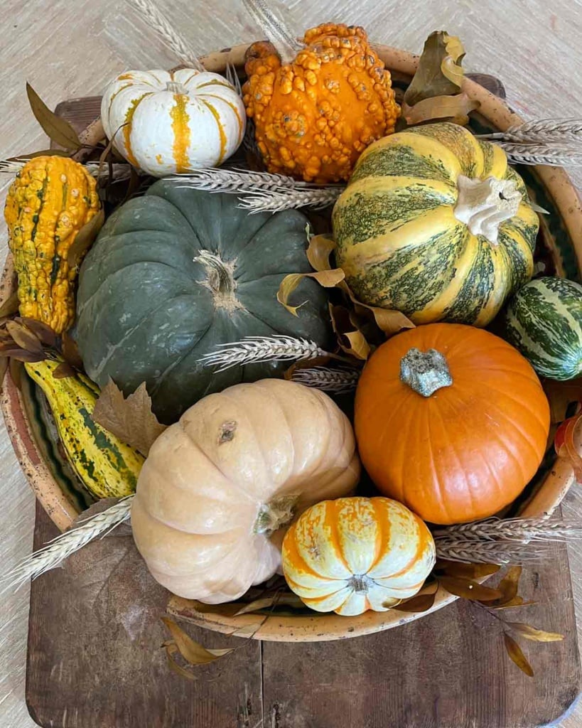 antique bowl filled with pumpkins on vintage bread board