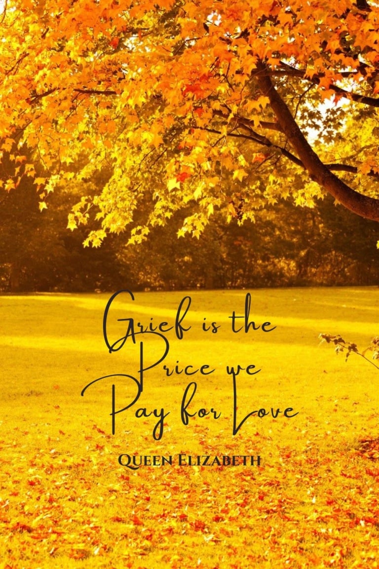 Grief is the Price we Pay for Love