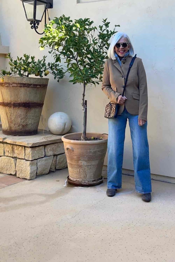 Rag and Bone Slade Blazer and Madewell Jeans