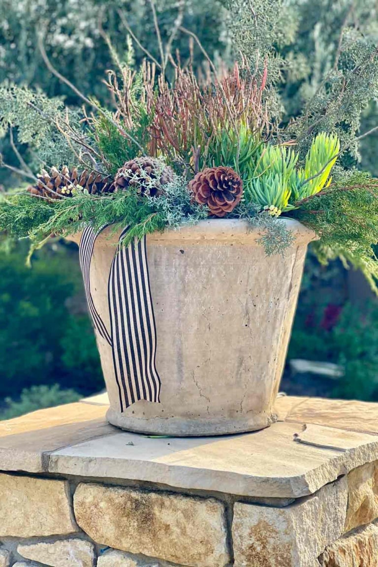 Beautiful Natural Outdoor Christmas Decorations - Cindy Hattersley Design