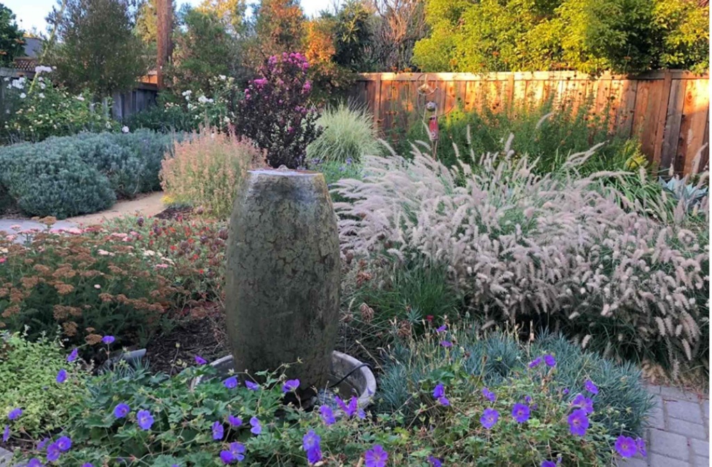 Garden Design Dry Garden Photo by Rebecca Sweet