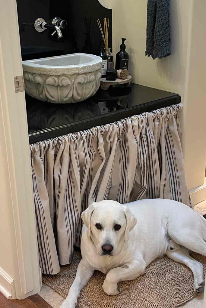 Skirted vanity with Scout