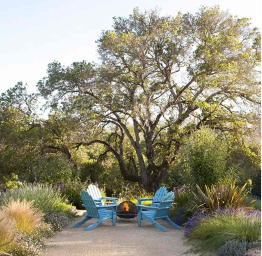 Arterra Landscape Architects-Photo Michele Lee Wilson