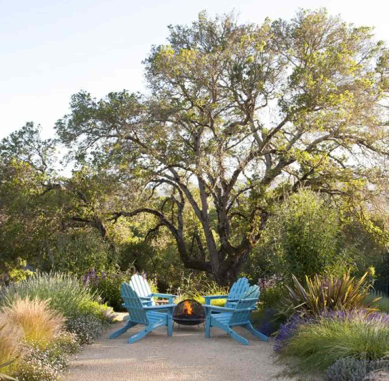 Arterra Landscape Architects-Photo Michele Lee Wilson