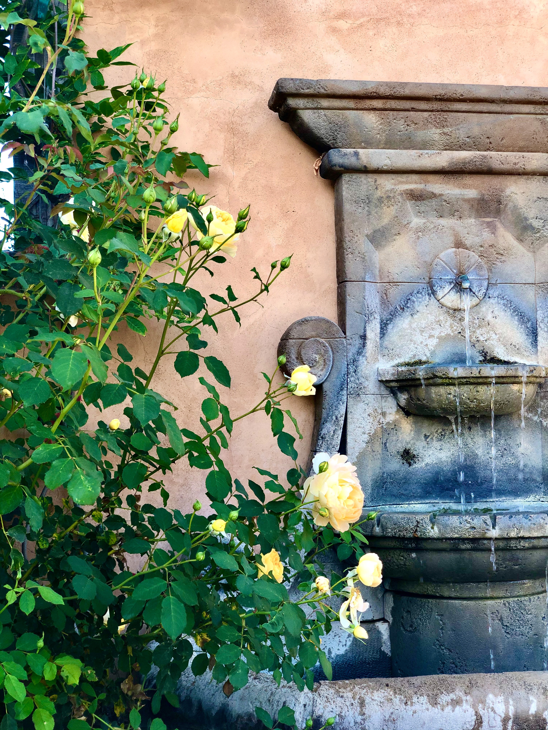 fountain on back of fireplace-cindy hattersley's former home