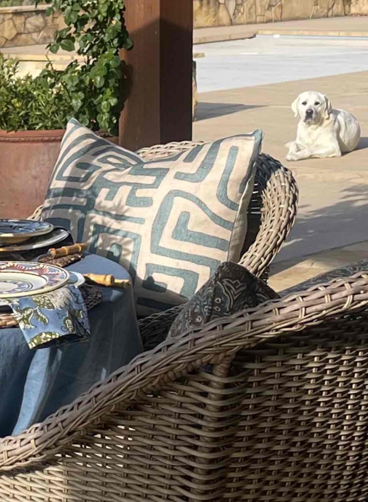 Scout checking out the outdoor table setting