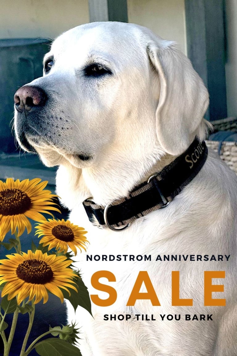 Nordstrom Sale Shop Till You Bark