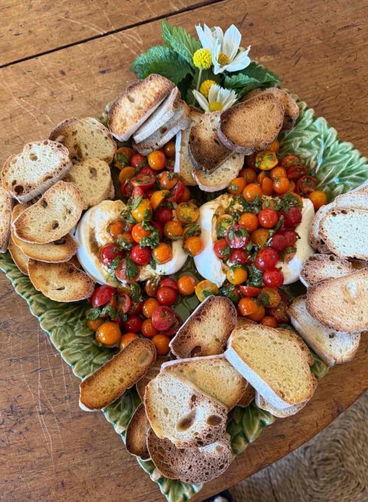 Garden Tomato Buratta Appetizer