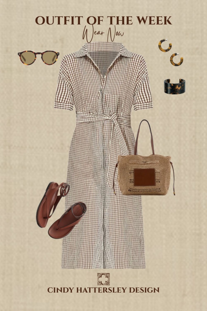 Tuckernuck Gingham Check Dress Outfit