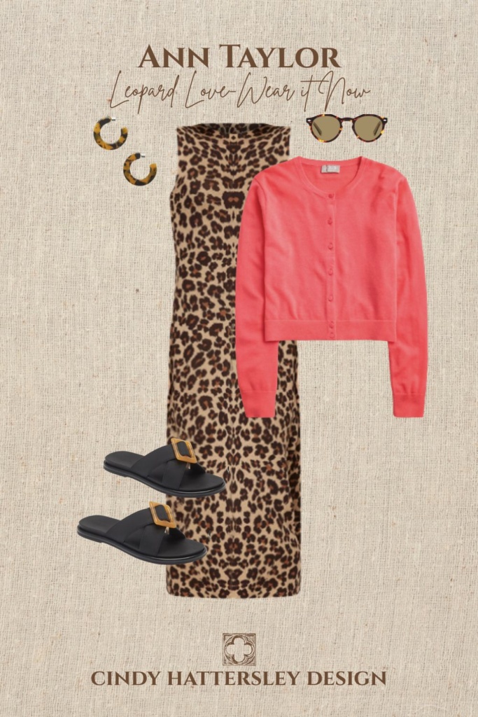 Ann Taylor Leopard Dress Outfit