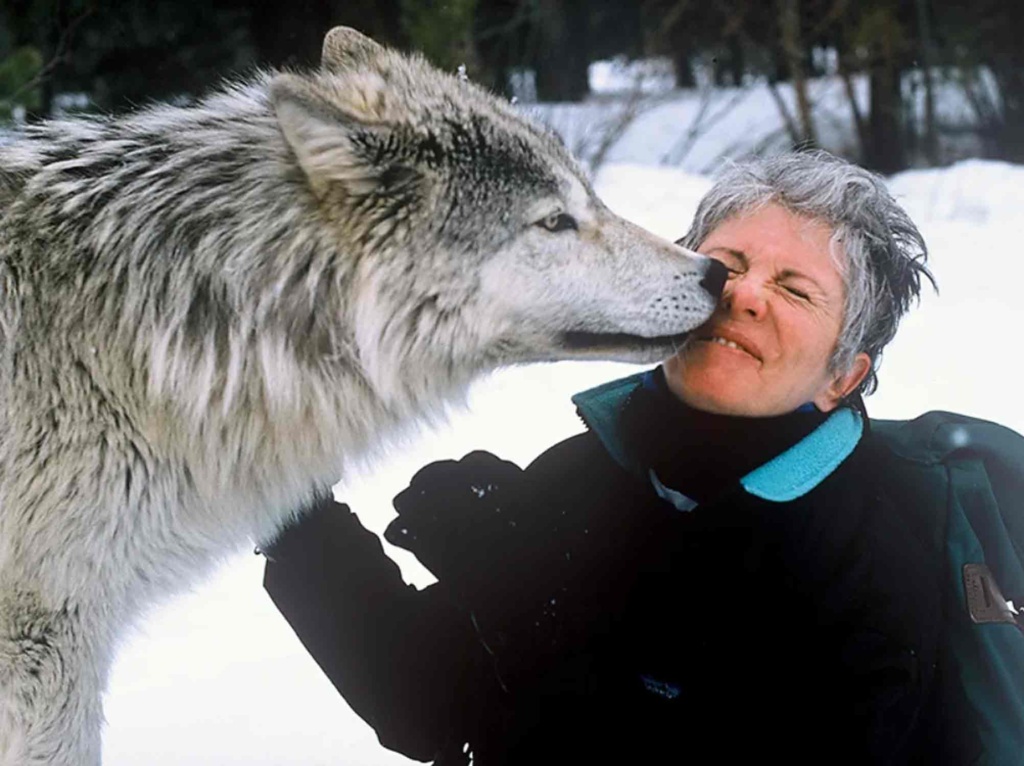Sandra Sallin being kissed by wolves