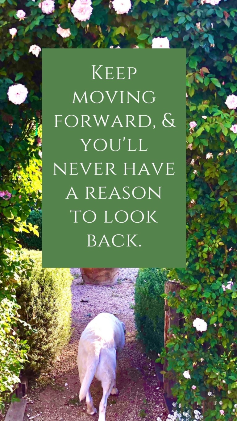 Keep Moving Forward Quote