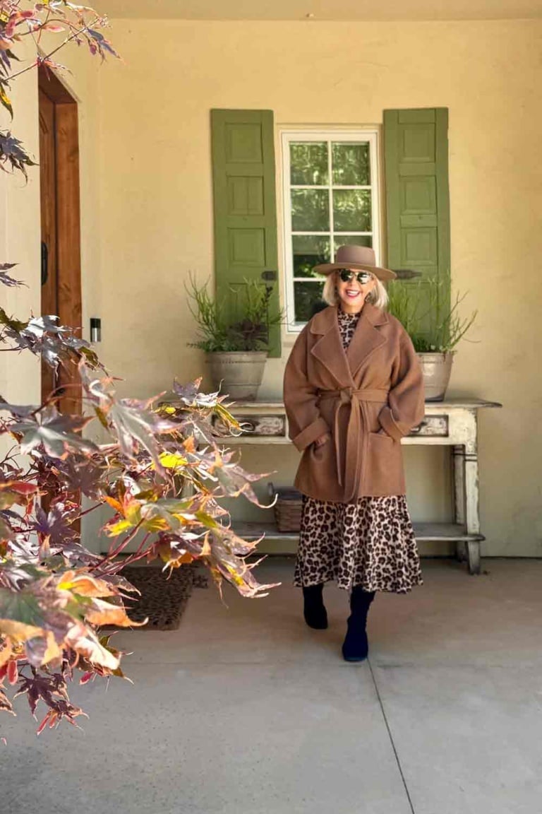 Paige jacket Ann Taylor Leopard Dress