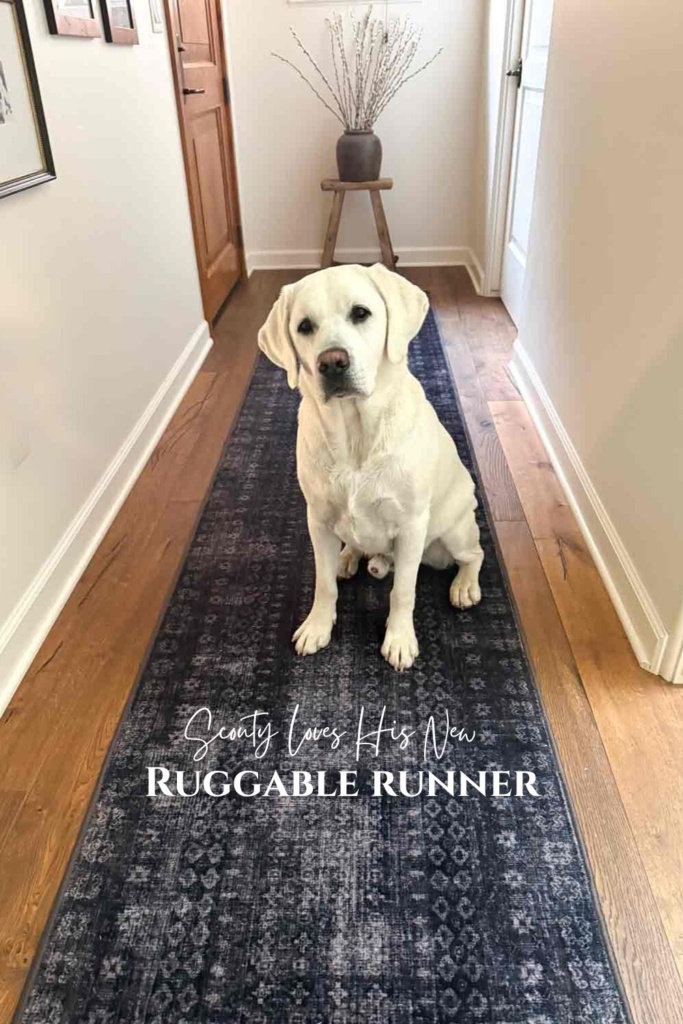Cindy Hattersley's lab on her ruggable runner